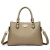 Bolso de Mano Nuevo de Comercio Exterior 2024 Bolso Cruzado Grande para Mujer Patrón Granulado Bolsa de Regalo para Mamá