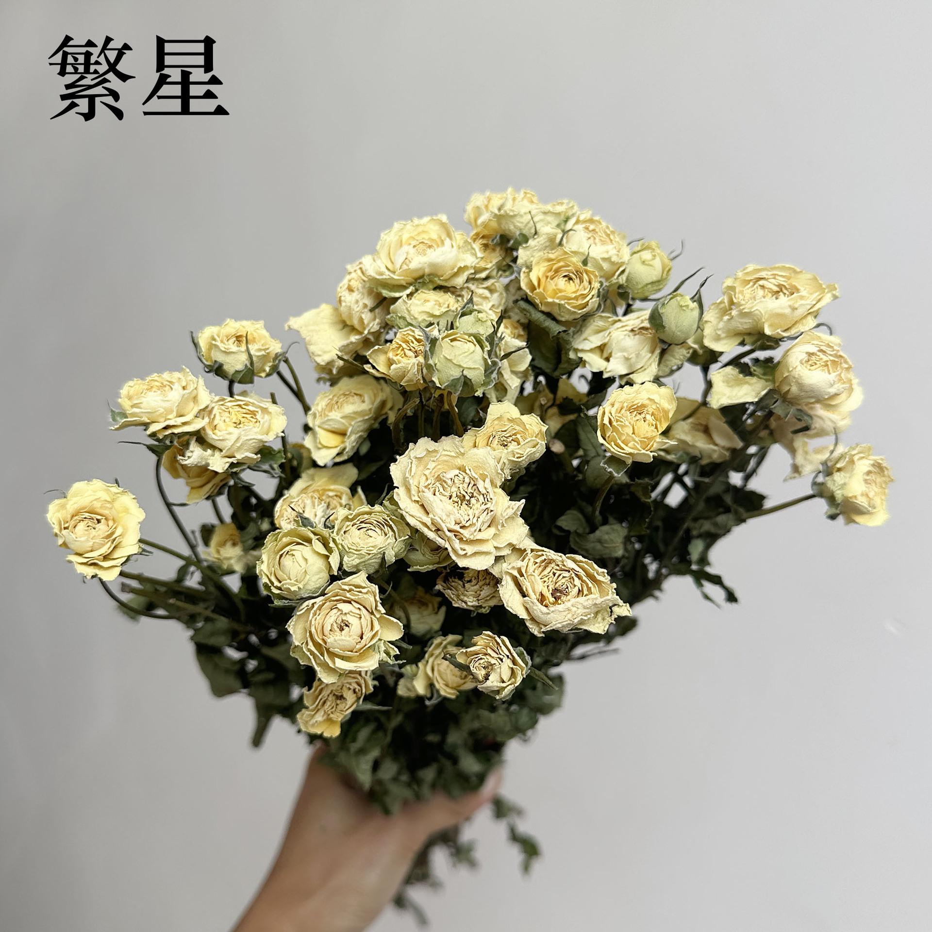 微信图片_20240906114754.jpg