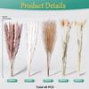 Amazon Flores de Caña Seca Pequeñas Transfronterizas para Decoración de Fiesta de Sala de Estar Accesorios para Fotos Pampas Venta al por Mayor Transfronteriza Venta Caliente