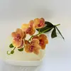 Bonsái de Phalaenopsis de 5 Flores Individual 3D Película Adhesiva Adornos de Plantas Artificiales para Interiores Sala de Estar Flores Artificiales Decorativas de Pie para Restaurante