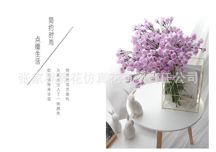 详情图_24.jpg