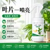 Água Concentrada Solúvel em Água Específica para Plantas Clareadora de Folhas Spray Foliar para Clareamento Rápido, Espessamento Verde Profundo e Prevenção de Amarelamento
