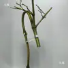 Materias Primas para Portainciensos de Bambú: Ramas de Bambú, Materiales de Bambú Hechos a Mano para Bricolaje, Bambú Macizo, Bambú Hueco