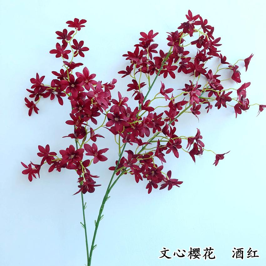 5-1_副本.jpg