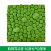 Simulación de musgo, musgo falso, fondo de planta, decoración de pared, planta verde, micropaisaje, césped flocado, simulación de musgo verde