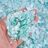 Concha Grande Natural de Nácar Disco Blanco Concha Brillo Lentejuelas para Uñas Decoraciones para Uñas DIY Hechas a Mano Materiales para Uñas