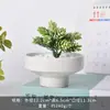 Maceta de Cerámica Blanca Simple Creativa Maceta de Porcelana Blanca Dehua Mini Suculenta Orquídea Phalaenopsis Pequeña Maceta Decorativa