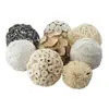 Pelota Spot Pet Pelota Takraw Color Fresco Natural Retro Accesorios para Fotos Fondo Decorativo Adornos Bola Decorativa Loro