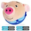 Pelota Saltarina Musical Algas Cerdito Saltarín Conejo Perro Hablante Sacudir Tono Igual Pinball Infantil Juguete de Peluche Cargado Eléctrico