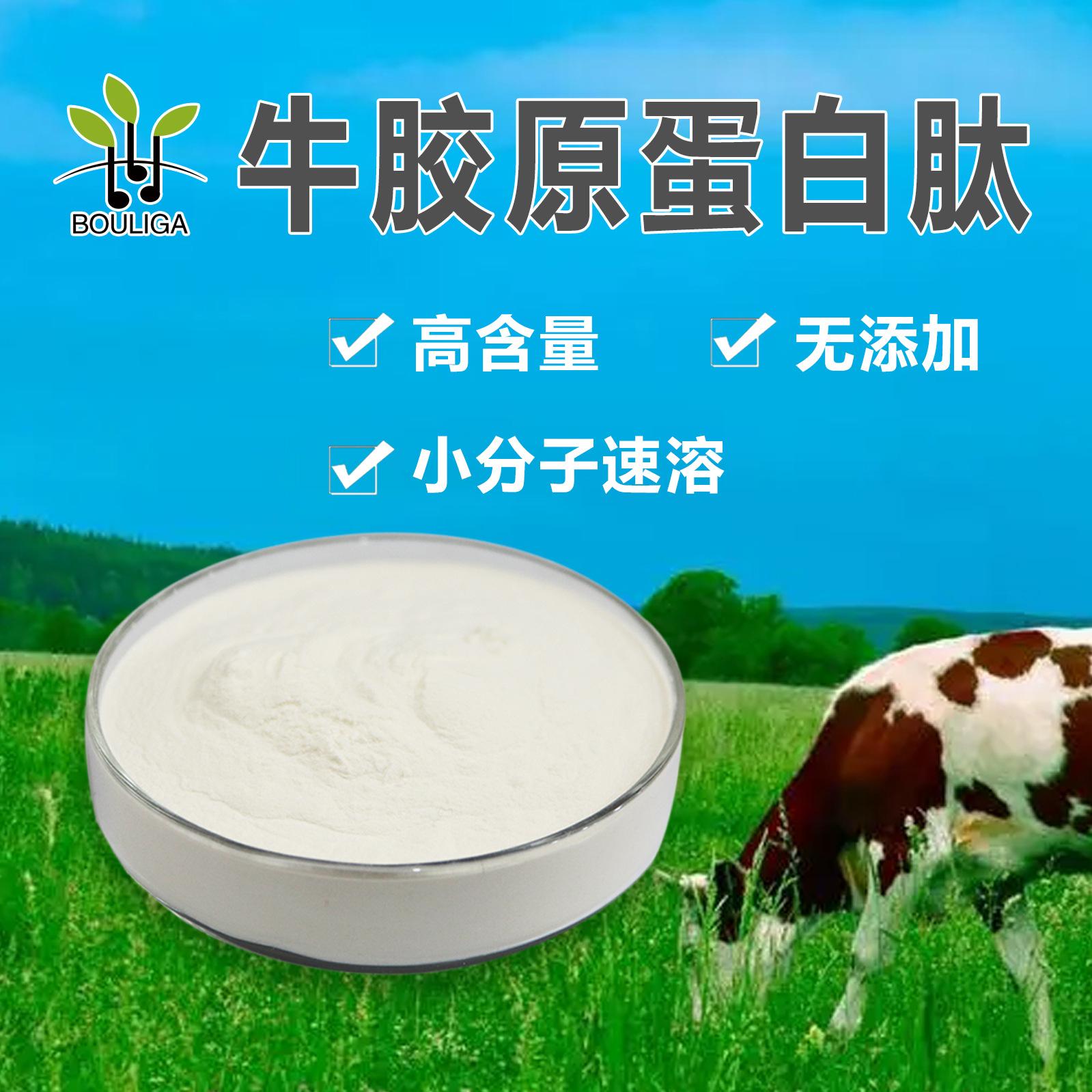 牛胶原 B--02 副本