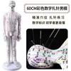 Folha de Cobre para Acupuntura Uso Doméstico Medicina Tradicional Chinesa Silicone Modelo de Diagrama de Meridianos do Corpo Humano com Pontos de Acupuntura