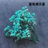 Materiais DIY de Flores Secas, Velas Perfumadas Decorativas, Buquês de Flores Secas de Cera de Soja Feitos à Mão, Flores Naturais Reais, Rodelas de Limão, Canela
