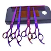 Tijeras de belleza para mascotas de 7.0 pulgadas color negro galvanizado 5 dientes de corte recto tijeras de corte curvo tijeras de hueso de pescado peine de fila en stock
