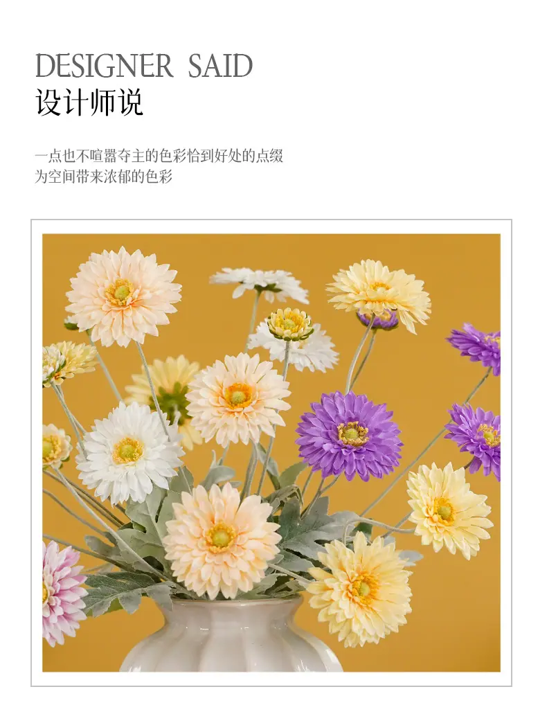 千羽4头发财菊_02.jpg