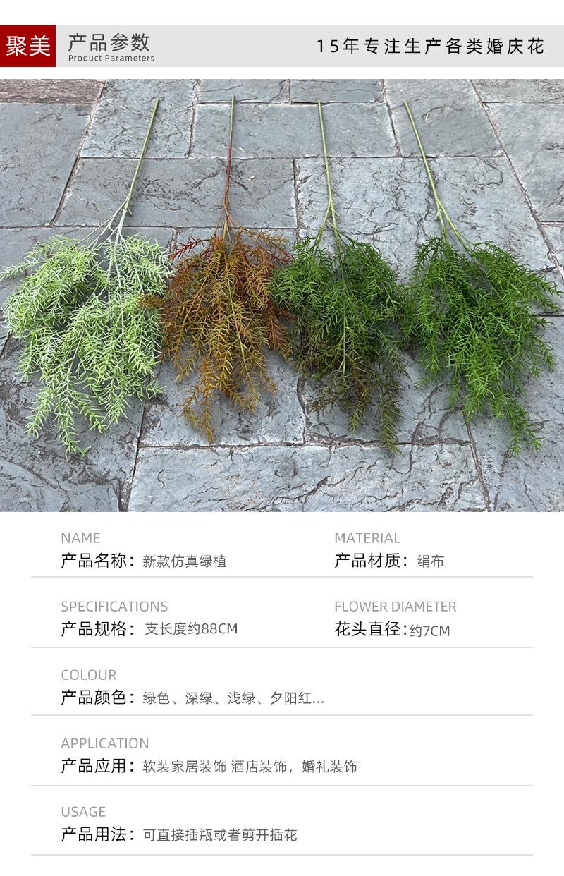 中号飞燕草-详情_03.jpg