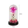 Oso de Rosa Transfronterizo con Cúpula de Cristal Flor Preservada Regalo de San Valentín Ramo con Luz LED Regalo de Cumpleaños Adorno Decorativo
