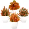 Plantas Artificiais de Vasos Mais Vendidas da Amazon para Outono, Flores de Plástico para Decoração de Casa, Pequenos Ornamentos de Bonsai em Cores de Outono Atacado
