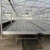 Invernadero de Cama Móvil para Plántulas de Riego por Marea Invernadero de Plántulas de Flores Cama de Plantación por Marea Invernadero de Horticultura Cama Móvil de Plántulas por Marea