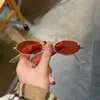 Óculos de Sol Metálicos Pequenos com Armação Retro Tendência Europeia e Americana Óculos de Sol com Armação Retro Óculos de Sol de Comércio Exterior da Moda Óculos de Celebridade da Internet Femininos