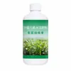 Spray Verde de Cilantro: Un fertilizante foliar especializado para cilantro, que promueve el crecimiento, fortalece las plántulas, mejora el desarrollo de las hojas y aumenta el rendimiento. Solución nutritiva para venta al por mayor