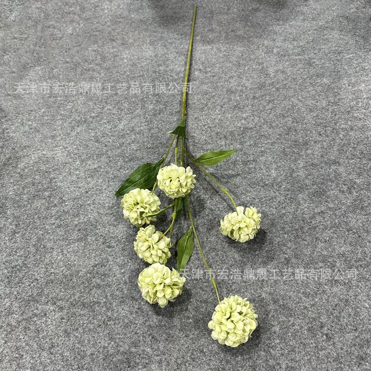 微信图片_202302211530074_副本