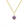 Collar de Piedra de Nacimiento Transfronterizo Colgante de Piedra de Nacimiento de Diciembre Acero Inoxidable Chapado en Oro Venta Directa de Fábrica