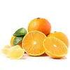 Sichuan Ehime Nº 38 Gelatina Laranja Laranja Doce Festival de Cítricos Grupo de Compra Caixa de Presente Presente Produtos de Ano Novo Negócios Fruta
