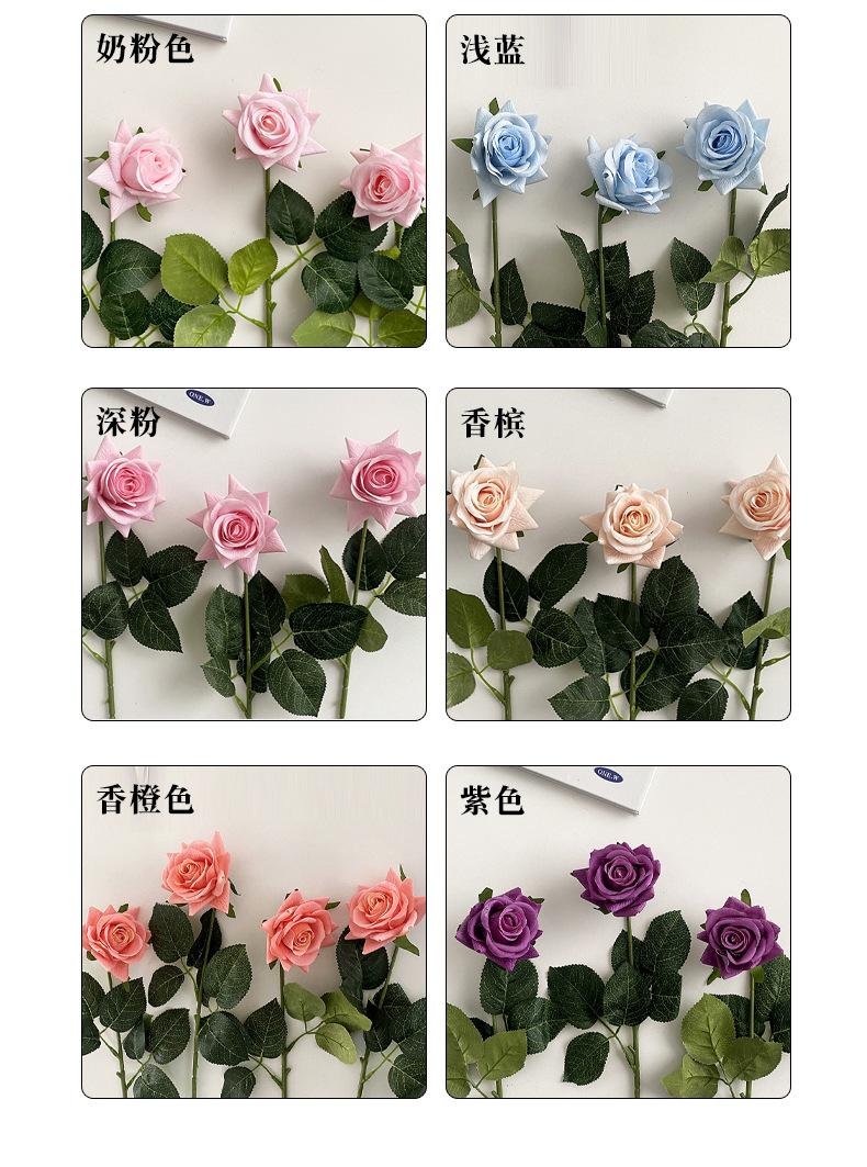 保湿玫瑰_06.jpg