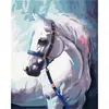 Dropshipping Transfronterizo Pintura al Óleo Digital al por Mayor Pinturas sin Marco 40X50 Amazon Wish Fábrica de Pintura Vestíbulo Ozon Caballo