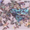 Madrepérola Laca Peças Finas de Concha de Abalone Nail Art Mosaico Pintura em Laca Peças de Madrepérola Material DIY Laca Incrustada Leidezhu