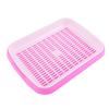 Bandeja de siembra de doble capa de fábrica, plato para brotes, bandeja para plántulas, maceta, bandeja para siembra de pasto de trigo, plato para brotes, maceta