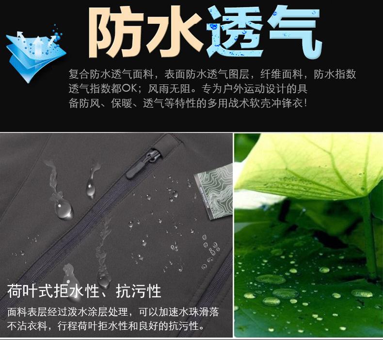 奇百斯_06