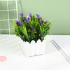 Suministro directo de fábrica simulación planta en maceta 20 Lirio de Cala cerca flor artificial bonsái bonsái decoración mini planta verde pequeños adornos