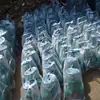 U41S-16C Dn32 Wenzhou Válvula de Pistón Venta Directa Válvula de Pistón Brida Manual Fábrica de Válvulas Zhuangbei