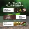 Solución Nutritiva Concentrada Especializada para Plantas Verdes de Interior en Maceta, Planta Trepadora Verde Fertilizante Previene el Amarillamiento de las Hojas y la Pudrición de Raíces, Promueve el Crecimiento de la Vid