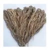 Productos Auténticos del Lugar de Origen del Angélica de Gansu, Enviados Directamente, Sin Fumigación con Azufre