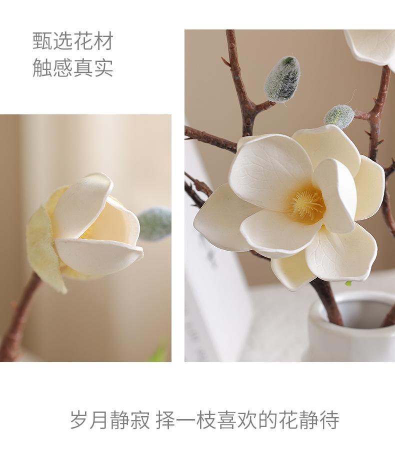 唯爱小玉兰_10.jpg