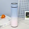 Taza Medidora de Temperatura con Pantalla Digital LED, Vaso Recto de Agua al Vacío, Tapa con Pantalla de Temperatura 304, Vaso Aislado, Regalo de Negocio