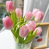 Bulbos de Tulipán al por Mayor Bolas Grandes para Ver Flores Escritorio Interior y Exterior Maceta Patio Cultivo en Suelo Florales Hidropónicos Floreciendo en Todas las Estaciones
