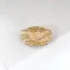 Clip de Concha Imitación Estilo Simple Fresco y Lindo Transfronterizo para el Cabello en la Parte Posterior de la Cabeza Pinza de Tiburón Accesorios para el Cabello Tocado Venta al por Mayor