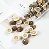 Casca de fruta faça você mesmo, pinha, lascas de madeira, folhas, flores secas, combinação de frutas secas, decoração de natal, decoração de jardim de infância, adereços retrô