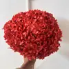 Flor Eterna Folha Pequena Hortênsia Anna Flor Seca Flor Real Estilo Escandinavo Props para Fotos Ins Buquê de Casamento Pronto Decoração