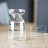 Vaso de Vidro Eletrogalvanizado Sinfonia, Danificado Garantido, Vaso de Vidro Colorido para Arranjo de Flores, Vaso de Vidro Transparente Soprado à Mão