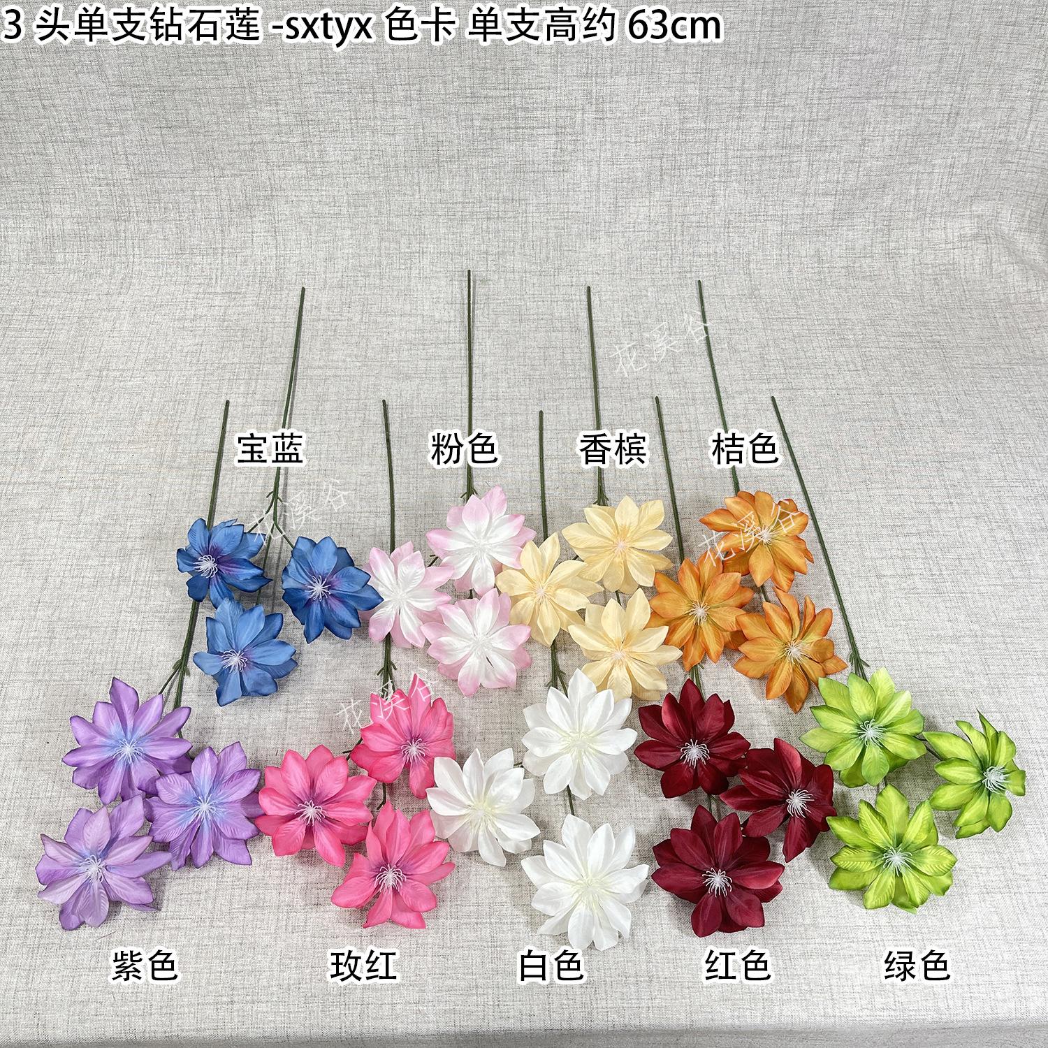 3头单支钻石莲-sxtyx 色卡 花溪谷.jpg