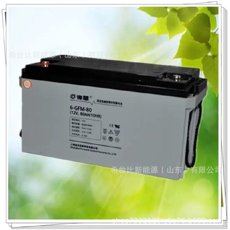GFM12V80AH1.webp.jpg