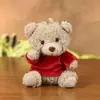 Urso de Pelúcia Vestindo Suéter Suporta Personalização Temática de Feriado, Personalização de Logo e Lembrancinhas de Casamento