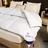 Núcleo de Colcha Pluma Terciopelo Primavera y Otoño para Hotel y Casa de Huéspedes, Colcha de Invierno para Camas Individuales y Dobles, Dormitorio Estudiantil, Colcha para Alojamiento en Casa, Colcha de Fibra Sintética