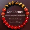 Temu Xiyin Tk Amazon Pulsera Popular Transfronteriza Pulsera de Piedra Natural Amatista Venta Caliente Europea y Americana Nuevo Al Por Mayor