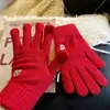 Coleção de Luvas de Tricô para Adultos, Estilo Coreano, Quentes e Fofas, Luvas Femininas com Forro de Lã para Outono e Inverno, Compatíveis com Tela de Toque
