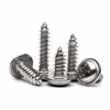 Tornillos Autorroscantes de Cabeza Redonda Cruzada de Acero Inoxidable 304 con Junta Cabeza Plana Pwa con Tornillos Autorroscantes Meson